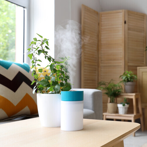 air dehumidifier on a living room table with a plant